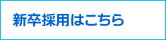 新卒採用2018